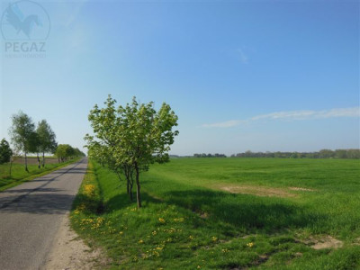 Na sprzedaż działka budowlana - Jankowice -
wielkopolskie Zdjęcie nr 3