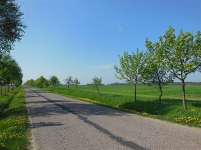 Na sprzedaż działka budowlana - Jankowice -
wielkopolskie Zdjęcie nr 4