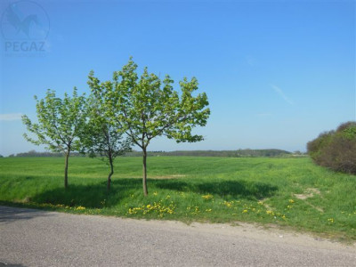 Na sprzedaż działka budowlana - Jankowice -
wielkopolskie Zdjęcie nr 5