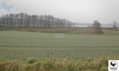 Na sprzedaż działka budowlana - Rybojedzko -
wielkopolskie Zdjęcie nr 5