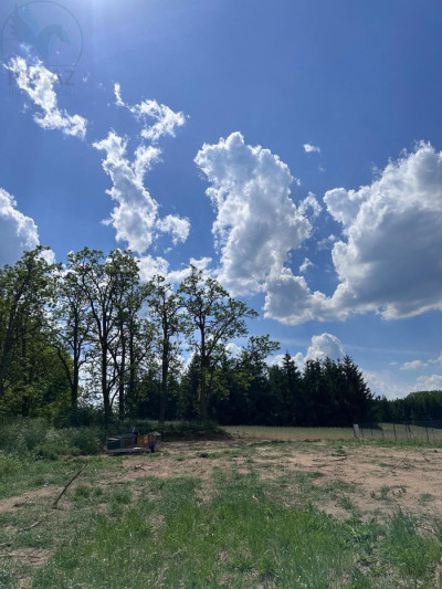 Na sprzedaż działka budowlana - Kursko -
lubuskie Zdjęcie nr 3