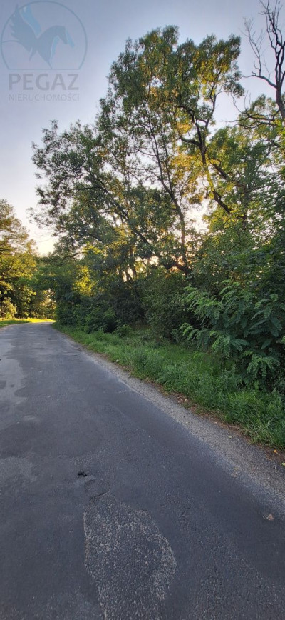 Na sprzedaż działka budowlana - Szumiąca -
lubuskie Zdjęcie nr 2