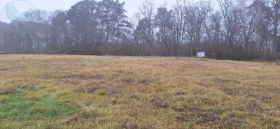 Na sprzedaż działka budowlana - Szumiąca -
lubuskie Zdjęcie nr 4