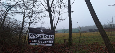 Na sprzedaż działka budowlana - Szumiąca -
lubuskie Zdjęcie nr 7