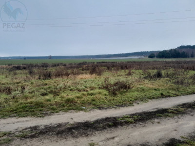 Na sprzedaż działka budowlana - Kuźnik -
lubuskie Zdjęcie nr 4