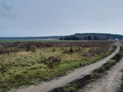 Na sprzedaż działka budowlana - Kuźnik -
lubuskie Zdjęcie nr 5