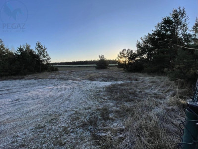 Na sprzedaż działka budowlana - Wierzyce -
wielkopolskie Zdjęcie nr 7