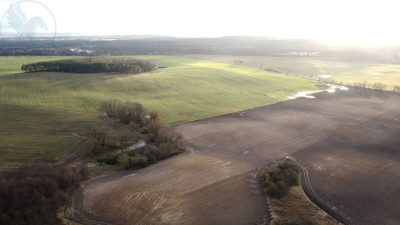 Na sprzedaż działka budowlana - Pruszewiec -
wielkopolskie Zdjęcie nr 5