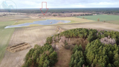 Na sprzedaż działka budowlana - Pruszewiec -
wielkopolskie Zdjęcie nr 7