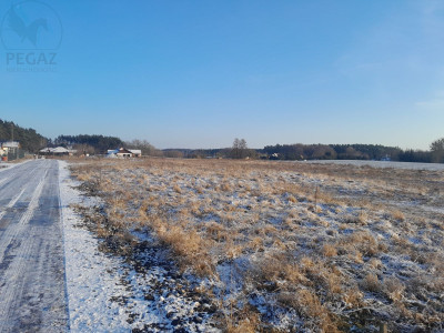 Na sprzedaż działka budowlana - Kuźnik -
lubuskie Zdjęcie nr 3