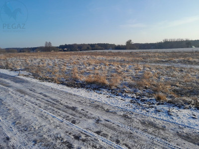 Na sprzedaż działka budowlana - Kuźnik -
lubuskie Zdjęcie nr 5