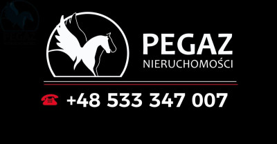 Na sprzedaż działka budowlana - Nietoperek -
lubuskie Zdjęcie nr 7