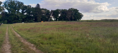 Na sprzedaż działka budowlana - Chycina -
lubuskie Zdjęcie nr 2