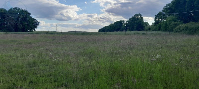 Na sprzedaż działka budowlana - Chycina -
lubuskie Zdjęcie nr 3