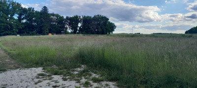 Na sprzedaż działka budowlana - Chycina -
lubuskie Zdjęcie nr 4