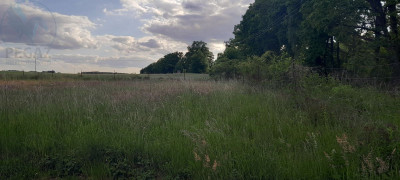 Na sprzedaż działka budowlana - Chycina -
lubuskie Zdjęcie nr 5