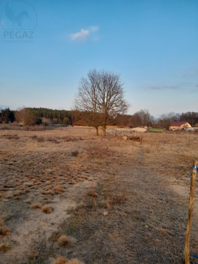 Na sprzedaż działka budowlana - Trzciel -
lubuskie Zdjęcie nr 2
