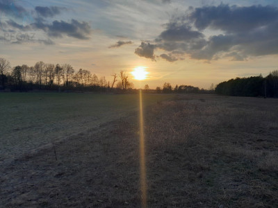 Na sprzedaż działka budowlana - Trzciel -
lubuskie Zdjęcie nr 5