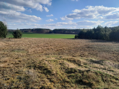 Na sprzedaż działka budowlana - Stoki - lubuskie