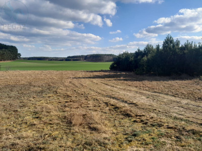 Na sprzedaż działka budowlana - Stoki -
lubuskie Zdjęcie nr 2