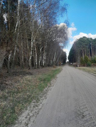 Na sprzedaż działka budowlana - Stoki -
lubuskie Zdjęcie nr 6