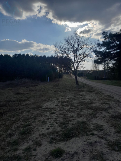 Na sprzedaż działka budowlana - Stoki -
lubuskie Zdjęcie nr 7