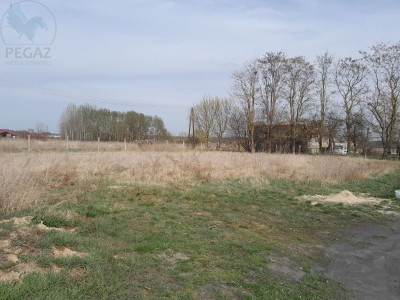 Na sprzedaż działka budowlana - Międzyrzecz -
lubuskie Zdjęcie nr 3