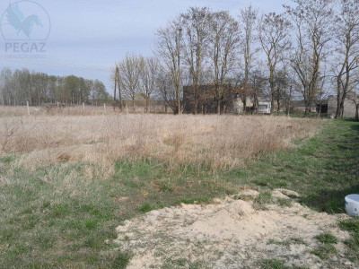 Na sprzedaż działka budowlana - Międzyrzecz -
lubuskie Zdjęcie nr 5