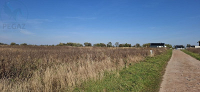 Na sprzedaż działka budowlana - Duszniki -
wielkopolskie Zdjęcie nr 5