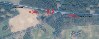 Na sprzedaż działka budowlana - Nowe Gorzycko -
lubuskie Zdjęcie nr 8