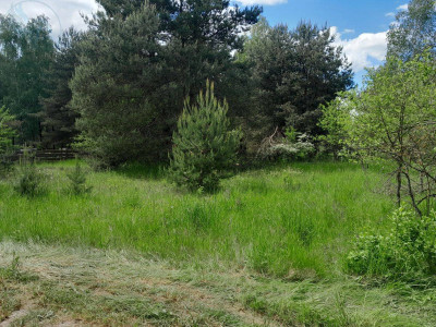Na sprzedaż działka budowlana - Gorzyca -
lubuskie Zdjęcie nr 6