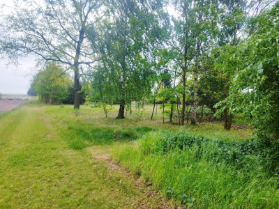 Działka budowlano-rolna okolice Głowna - Wola Zbrożkowa  - Łódzkie