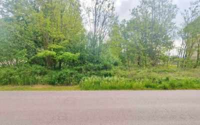 Działka budowlano-rolna okolice Głowna - Wola Zbrożkowa  -
Łódzkie Zdjęcie nr 2