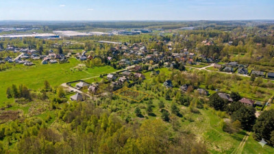 Działka 10 arów Las za płotem i pełne media - Nowy Kisielin  -
Lubuskie Zdjęcie nr 2