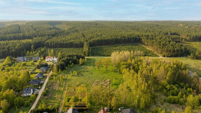Działka 10 arów Las za płotem i pełne media - Nowy Kisielin  -
Lubuskie Zdjęcie nr 3