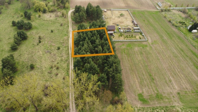 Własny las za płotem  18 arów marzeń pod ZG - Zabór  -
Lubuskie Zdjęcie nr 2