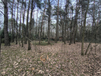 Zofiówka 1010 m ciszy blisko Łodzi - Zofiówka  -
Łódzkie Zdjęcie nr 2