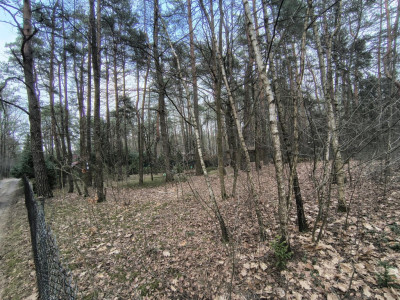 Zofiówka 1010 m ciszy blisko Łodzi - Zofiówka  -
Łódzkie Zdjęcie nr 7