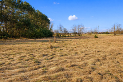 Działka budowlana MPZP  Sierosław  1584 m2 - Sierosław  -
Wielkopolskie Zdjęcie nr 2