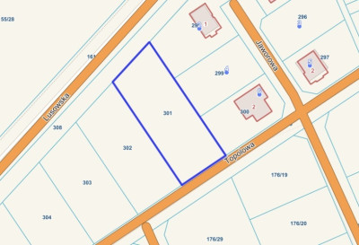 Sady pod Poznaniem  Działka z brzozami  1544 m2 - Sady  -
Wielkopolskie Zdjęcie nr 5