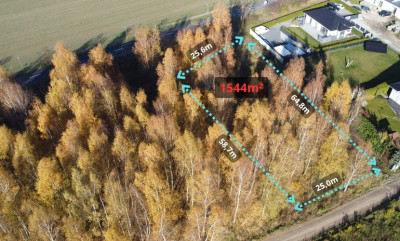 Sady pod Poznaniem  Działka z brzozami  1544 m2 - Sady  -
Wielkopolskie Zdjęcie nr 6