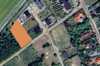 Sady pod Poznaniem  Działka z brzozami  1544 m2 - Sady  -
Wielkopolskie Zdjęcie nr 7