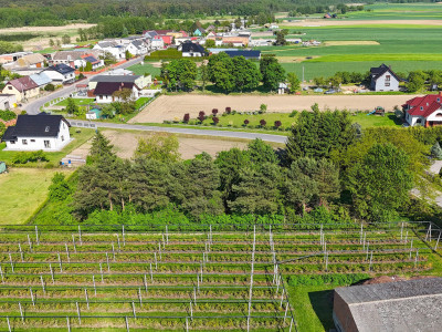 Działka z dala od zgiełku  Mirosławki  2000 m2 - Mirosławki  -
Wielkopolskie Zdjęcie nr 12