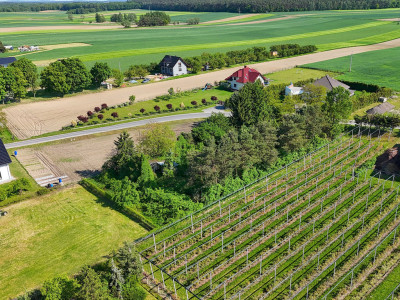 Działka z dala od zgiełku  Mirosławki  2000 m2 - Mirosławki  -
Wielkopolskie Zdjęcie nr 13