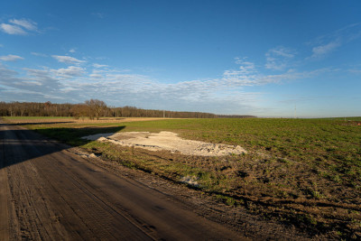 Działka 1355 m przy lesie - MPZP Kaźmierz - Kaźmierz  -
Wielkopolskie Zdjęcie nr 6