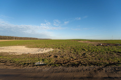 Działka 1355 m przy lesie - MPZP Kaźmierz - Kaźmierz  -
Wielkopolskie Zdjęcie nr 7