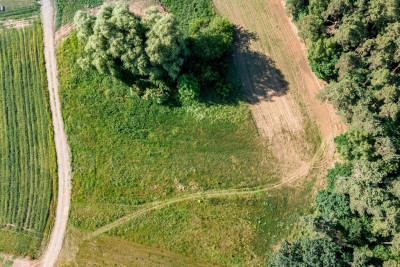 Działka budowlana 3357m2 Porażyn MPZP pod lasem - Porażyn  -
Wielkopolskie Zdjęcie nr 9