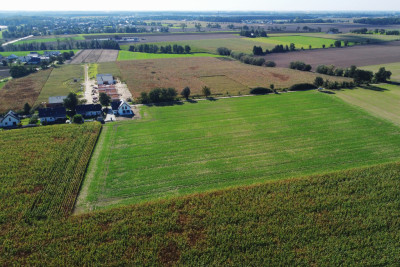 Działka budowlana MPZP - 15 minut do Poznania - Kalwy  -
Wielkopolskie Zdjęcie nr 5