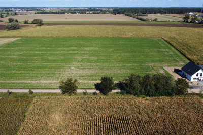 Działka budowlana MPZP - 15 minut do Poznania - Kalwy  -
Wielkopolskie Zdjęcie nr 7