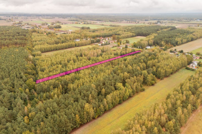 Własny las cisza i zapach żywicy -siedlisko - Stefanów  -
Łódzkie Zdjęcie nr 2